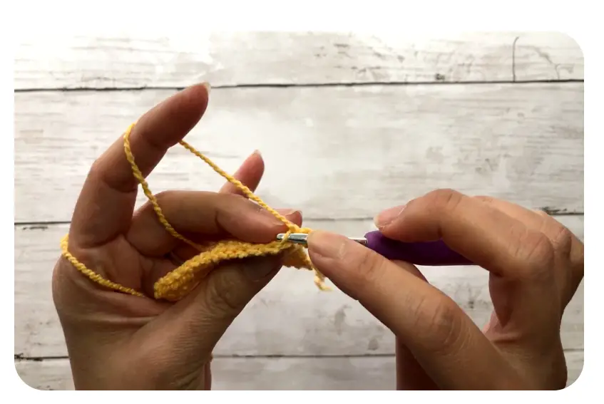 Half double crochet through back loop = Hdc BLO